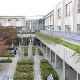 カラーガード部が全国大会で銀賞を受賞！　文京学院大学女子